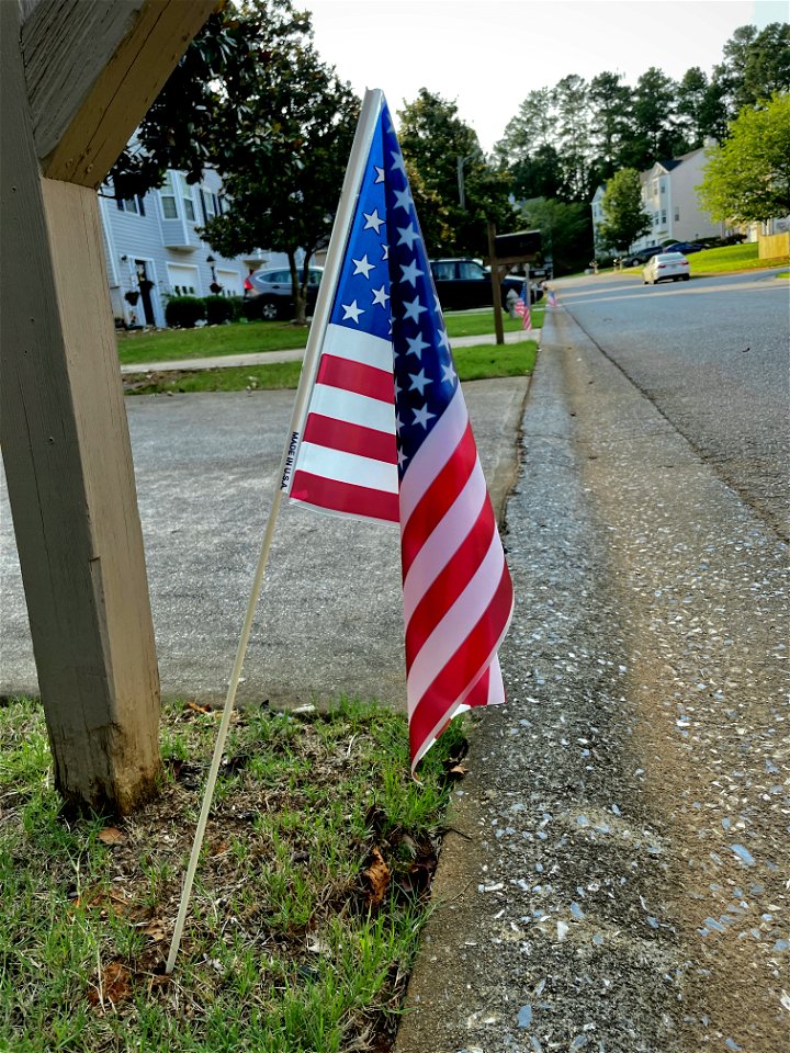 Day 186 - Independence