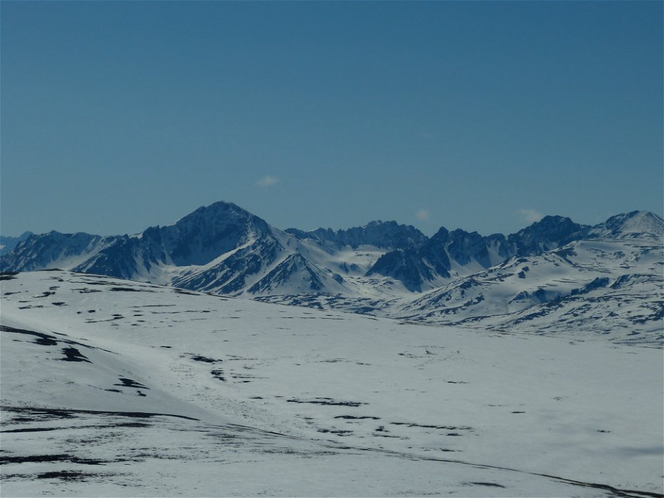 Kilbuck Mountains