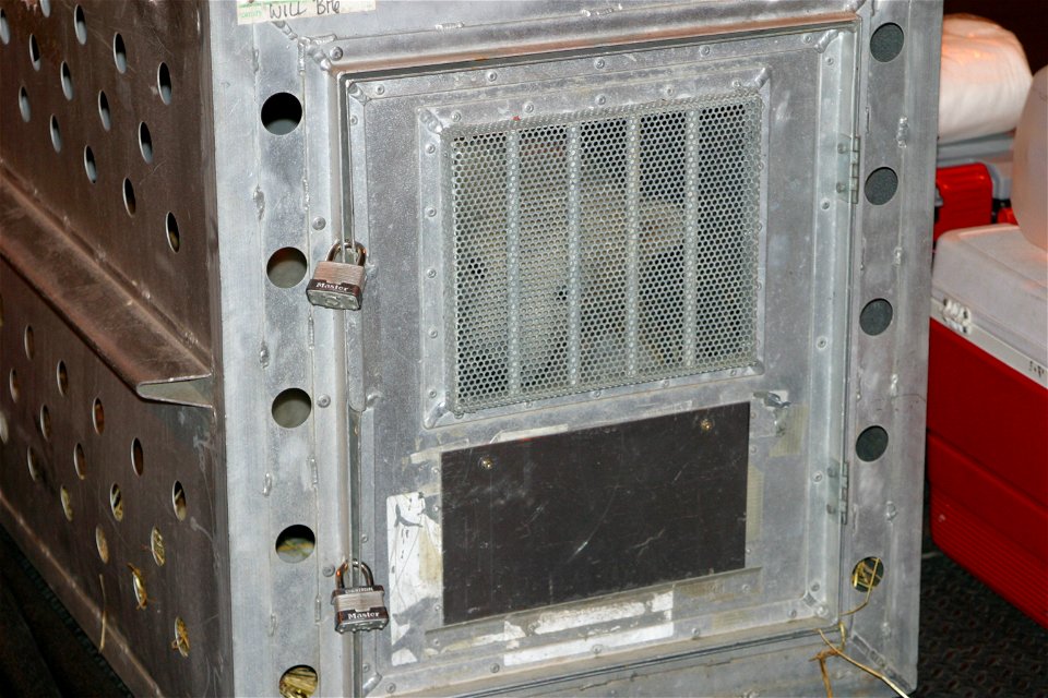kali_crate_peekaboo