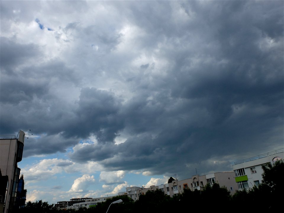 nori-sediu2015_0526_164940