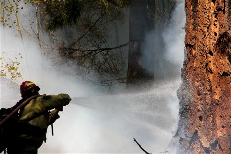 FirefightingJoeGoddardArea CedrCrkFire Wllmte NF 220821 (5)