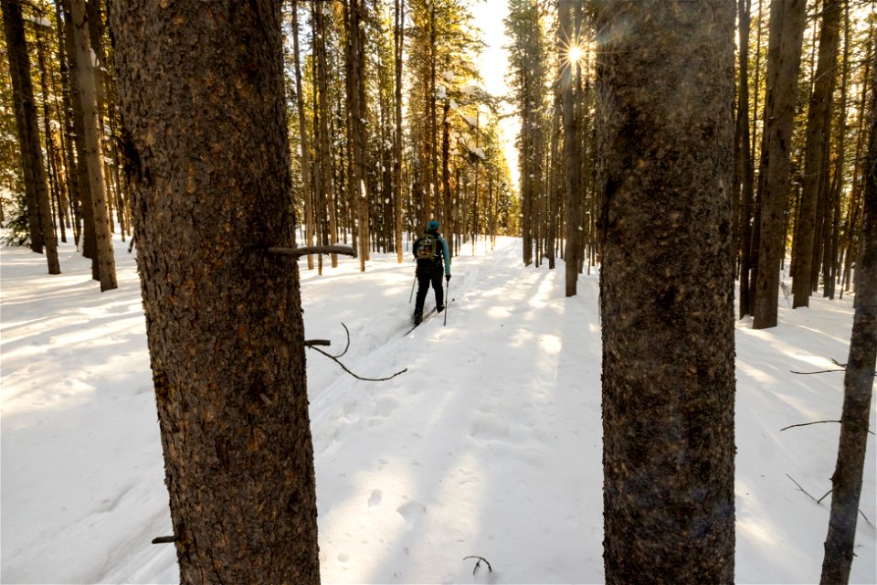 Views along the Rollercoaster Ski Trail