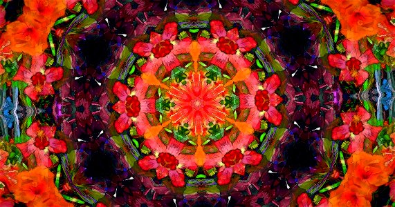 Kaleidoscope221230194212