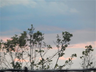 DSCN0683