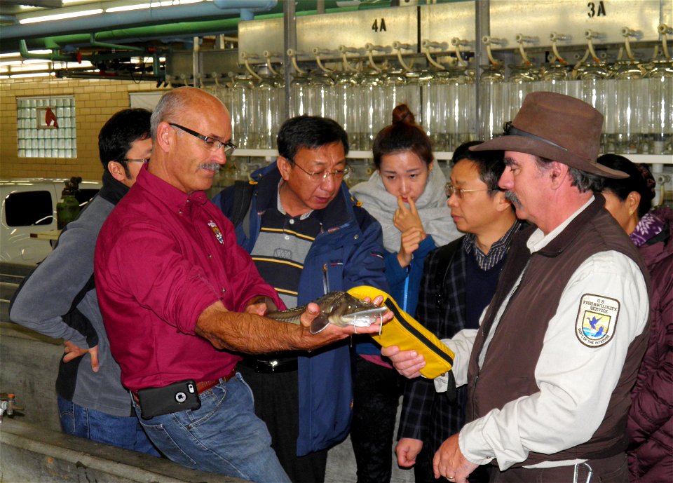 Triennial scientific exchange with delegation from Peoples Republic of China
