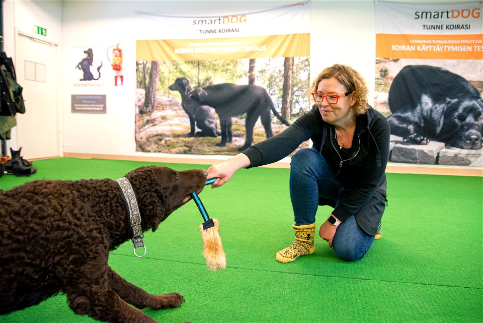 SmartDog, Riihimäki