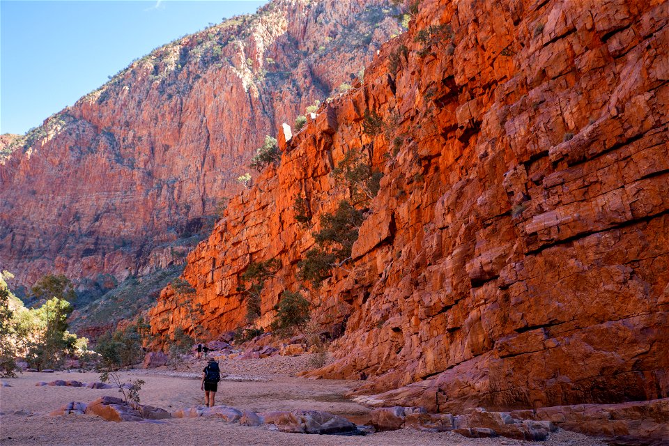 Ormiston Gorge photo