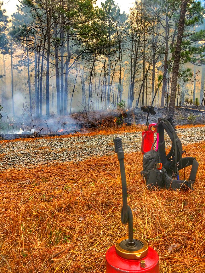 Post-Fire Category - USFWS 2022 Photo/Video Contest