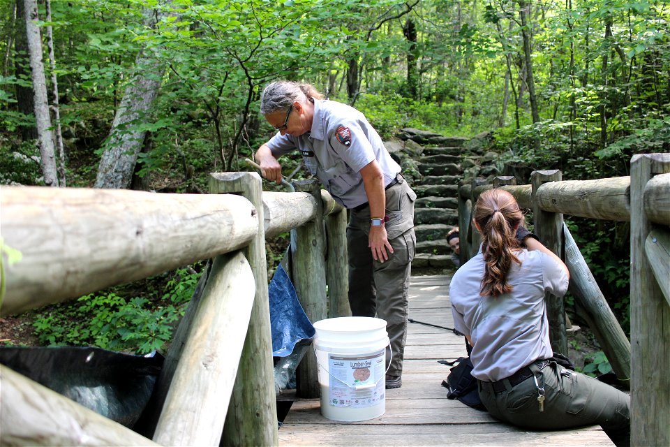 Shenandoah Youth Corps photo