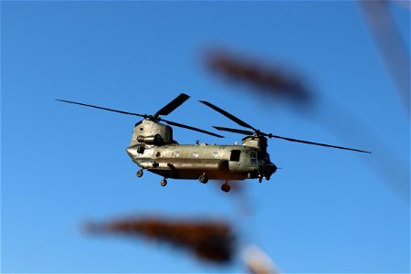 Big Chopper photo