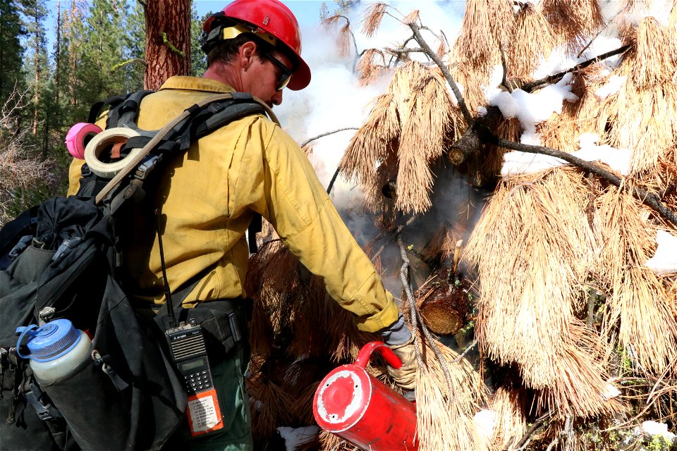 Charcoal Gulch Pile Burn, Idaho City