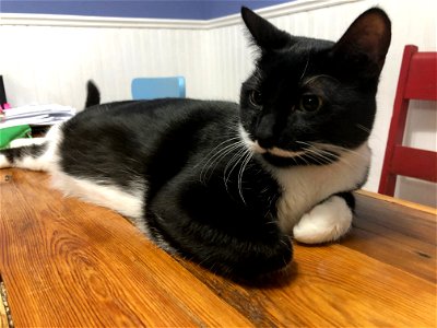 Are You Messing with My Chi?