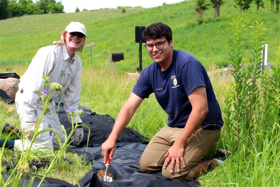 Planting a Monarch Garden