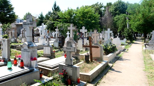 Bellu_cemetery (40) photo