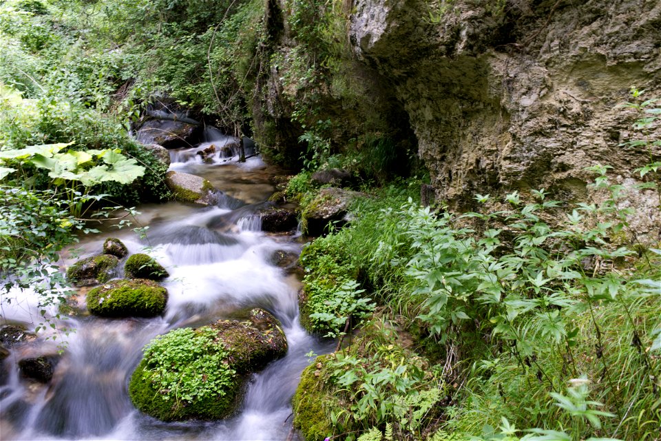 Along the path photo