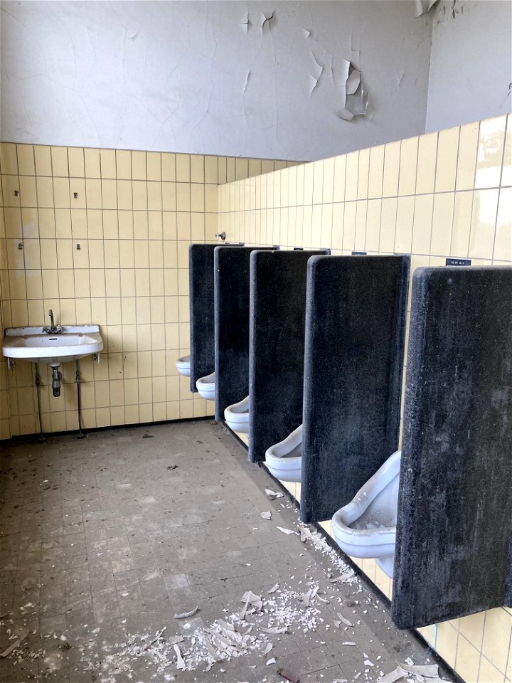 Maascentrale PLEM Buggenum,  puntig