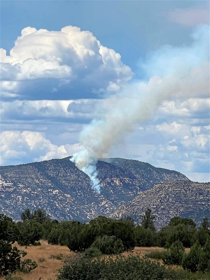 Committee Fire 2022
