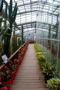 Hantaek Botanical Garden