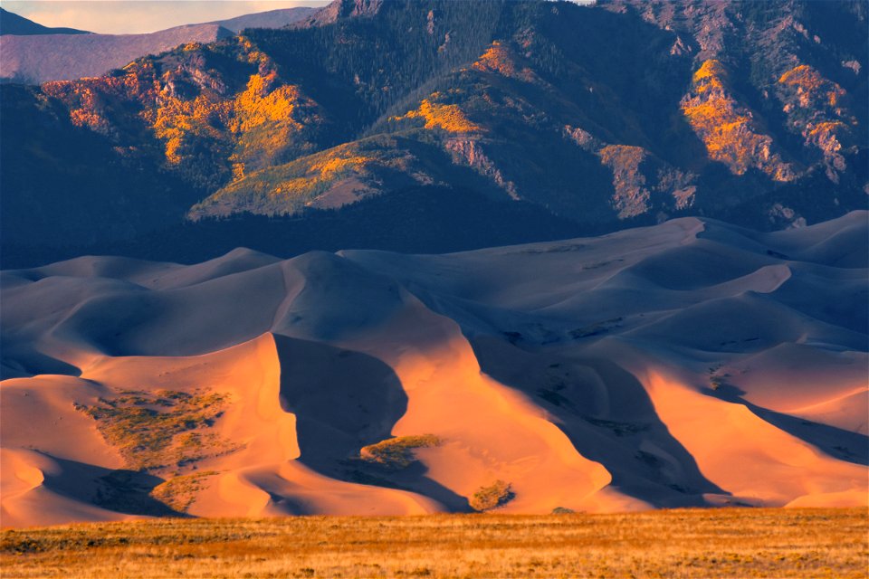 Aspens Changing Above the Dunes