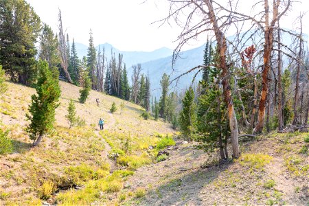 Shoshone National Forest, Sunlight Creek Trail: hiking out of the trees photo