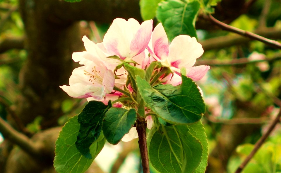DSC09430
