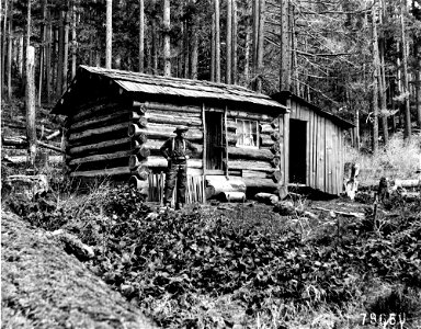 079650-robinetts-forest-homestead-umpqua-nf-or-1909jpg_49385596281_o photo