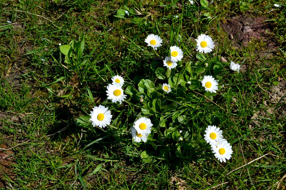 Spring ,April 2023