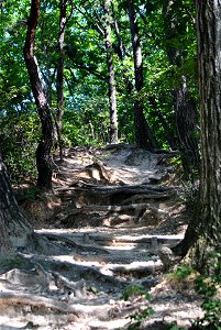 Teajosan Mountain Hiking