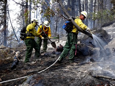 Mopping Up along the southern edge near Eightmile Road, Diamond Creek Fire, 2017