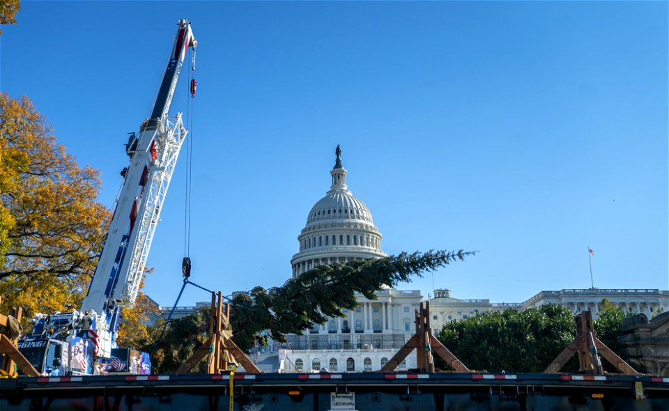 CapitolXmasTree-WashingtonDC-042