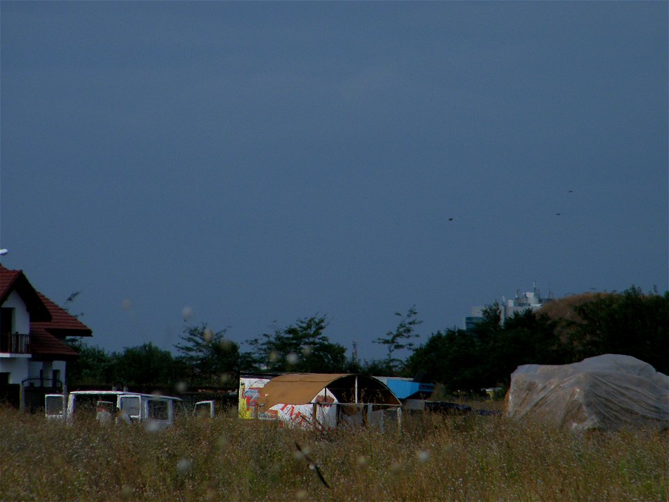 orizont2010_0830_090048(1)
