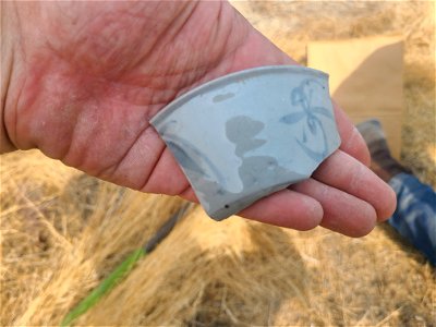 TCRR_Unit_3_Level_2_Rice_bowl