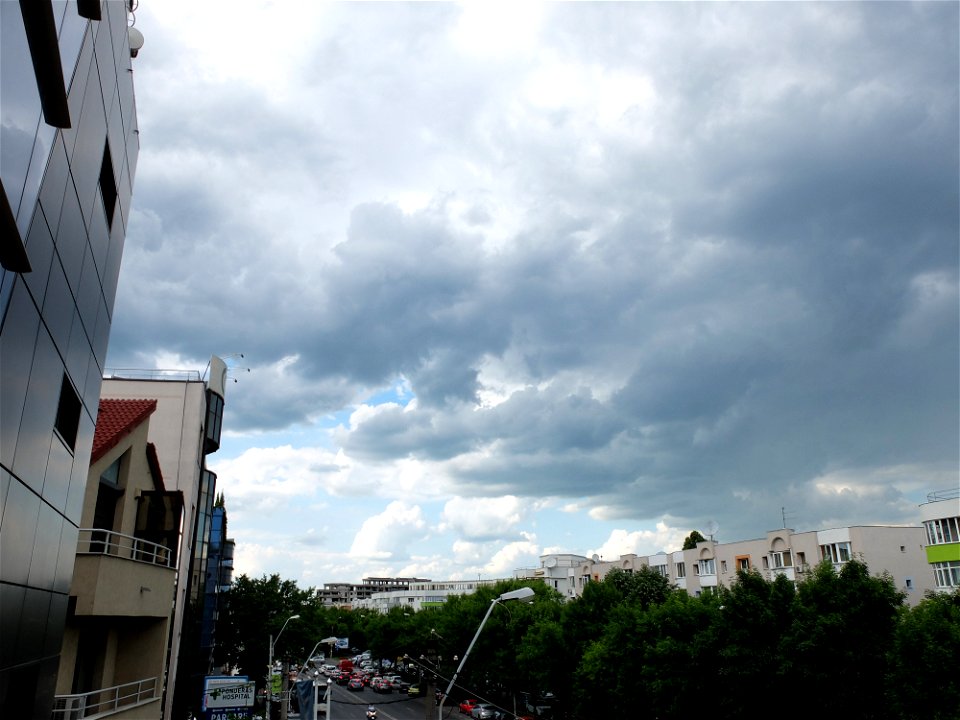 nori-sediu2015_0526_164846