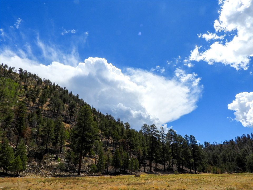 Pipeline/Haywire Fires June 2022