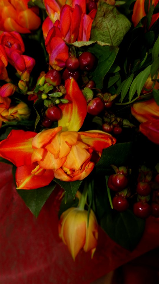 flori_flowers-wife-2023_0216_162026