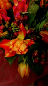 flori_flowers-wife-2023_0216_162026