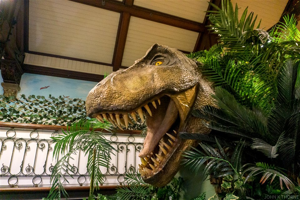 The Dinosaurs  of Maidstone Museum