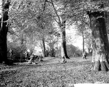 SC 166544 - Members of a scouting and patrol party advancing thru open wood and crossing small bridge in the approved manner. During recent battle practice in Northern Ireland.