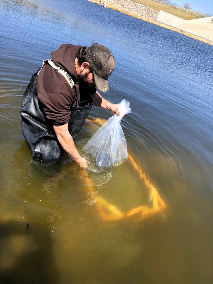 Fry Boxes at Fish Hatchery