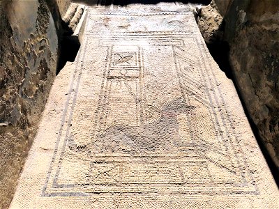 Cane in Doorway Ruins Pompeii Italy