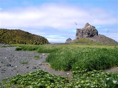 Bogoslof Island on a Sunny Day photo