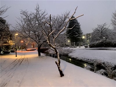 Kurome River in Shimosato, Higashikurume-shi