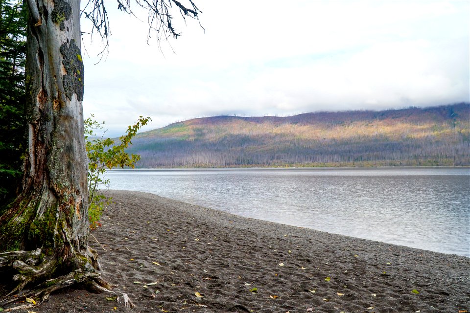 Sprague Creek Picnic Area Shoreline