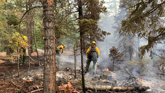 Fork Fire photo