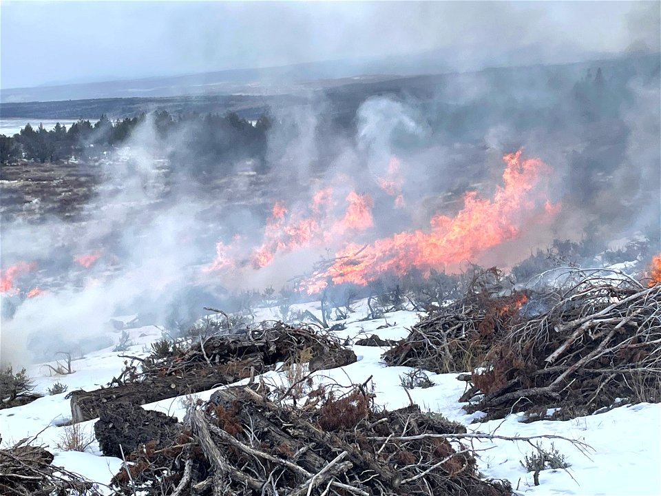 Prescribed fire at Dry Cow