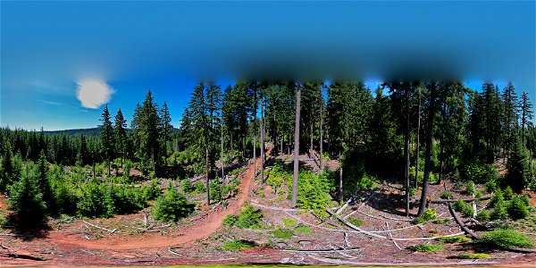 Mt. Hood National Forest OHV Trail Construction VR 360 photo