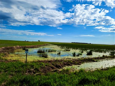 Wetland Landscape Lake Andes Wetland Management District South Dakota