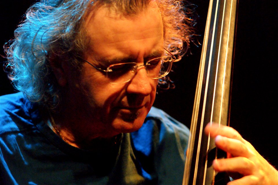 Matthew Shipp trio 1 februari 2011 BIM Amsterdam - Michael Bisio