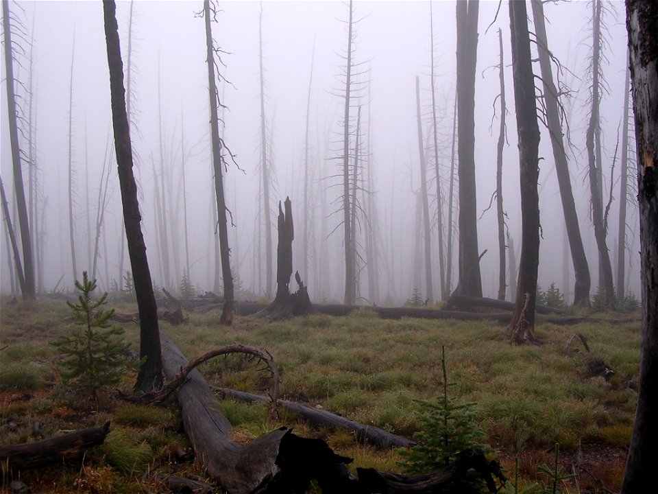 30_nonplot_fog2_06062006090101