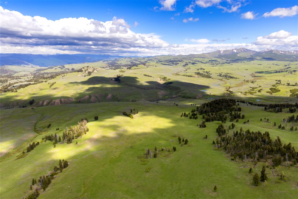 Yellowstone flood event 2022: Blacktail Deer Creek